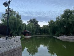 -万柳阁小馆·花园餐厅(龙潭湖店)