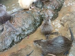 -海南热带野生动植物园