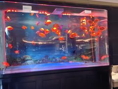 -青岛鑫江温德姆酒店