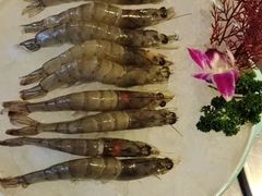 -佬土鹅肠火锅(扬中步行街店)