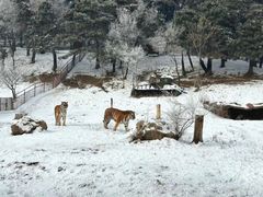 -沈阳森林动物园