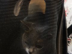 -严国平动物医院(德政总院)