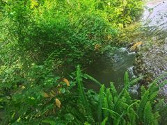 -成都杜甫草堂博物馆