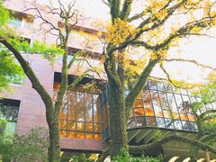 -香港大学