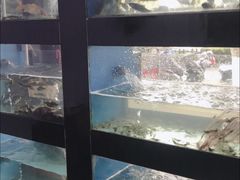 -全乐鱼馆·淳牌有机鱼直营店