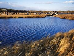 -塞罕坝国家级自然保护区