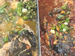 -鱼酷活鱼烤鱼(沈阳大悦城店)