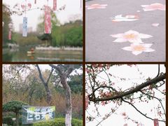 -莫愁湖公园