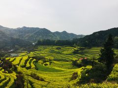-灵山景区梯田