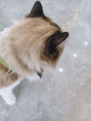 -甲骨文美甲美睫美容化妆