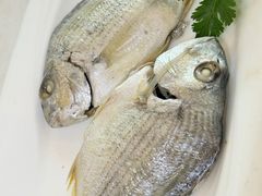 -鼎仔翅(龙湖公寓北区店)