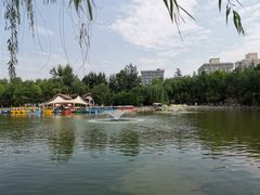 -莲湖公园