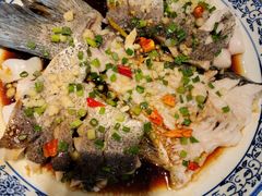 -小团圆灶台鱼·百城头牌菜(千岛湖店)