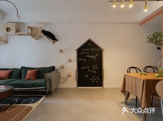 今日分享从一到无限 猫咪的家饱含爱与深情