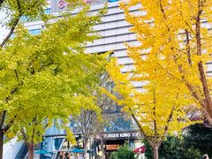-天主教圣弥额尔堂
