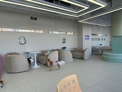 -怪兽屋·羊驼·猫咖·狗咖(俊华广场店)