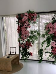 点击看大图 -小阿福儿童摄影(光谷时代广场店)