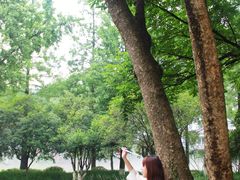 -杭州花家山庄
