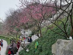 -重庆彩云湖湿地公园