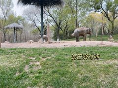 -北京野生动物园