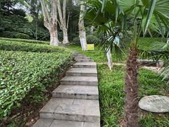 -菊花台公园