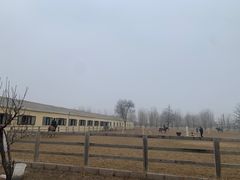 -北京群众马术培训基地