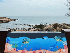 -广东惠东海龟国家级自然保护区