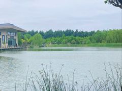 -廊坊市自然公园