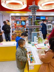 -乐高品牌旗舰店(人民广场店)