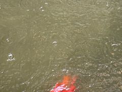 -漫笙舍Manse·咖啡·民宿