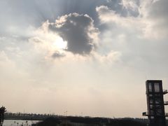 -春花秋色城市公园