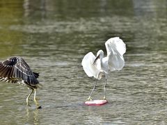 -苏州河梦清园环保主题公园