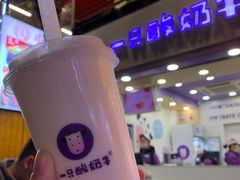 -一只酸奶牛(八一路店)