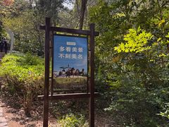 -云龙山