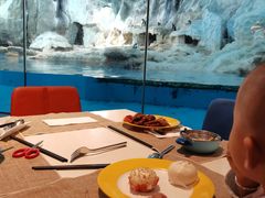 -帝企鹅自助餐厅•儿童岛•真企鹅(长隆企鹅酒店)