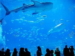 -华夏文旅西安度假区