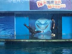 -苏州海洋馆