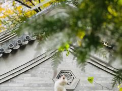 -香山公园