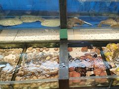 -添福来墨鱼饺子 · 海鲜东北菜(泡崖店)