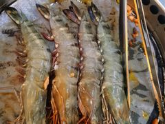 -熊出没日本烧肉放题