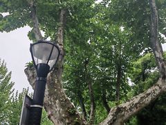 -浙江大学(玉泉校区)