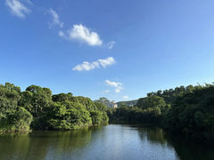 -大屏嶂森林公园