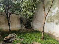 -苏州园林博物馆