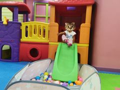 -悦宝园(昌平镇店)