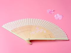 -京扇子(烟袋斜街店)