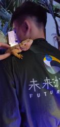 -未来动物城动物主题公园(大悦城店)