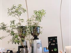 -Seesaw Coffee(上生新所店)
