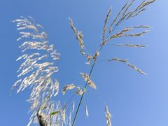 -鹤之洲湿地公园
