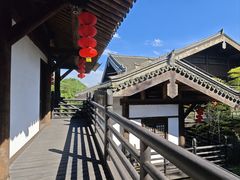 -大唐贡茶院