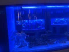 -上和臻品中国菜(花园街店)